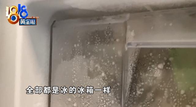 “伊莱克斯”冰箱，上面“水帘洞”，下面“南极冰山”，“这简直不能生活了”